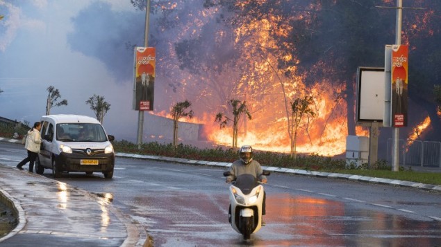 Fires in Haifa lead to evacuation of a quarter of the city's residents on November 24. Photo by Jack Guez/AFP